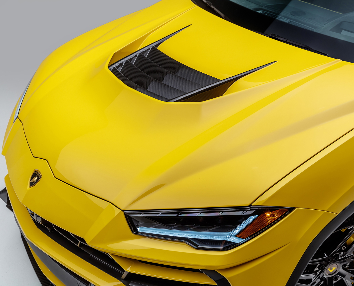 Капот - 2010LOV